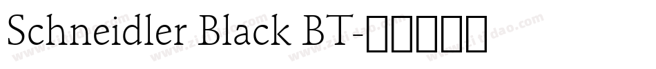 Schneidler Black BT字体转换